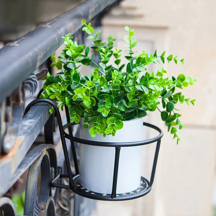 Home & Garden