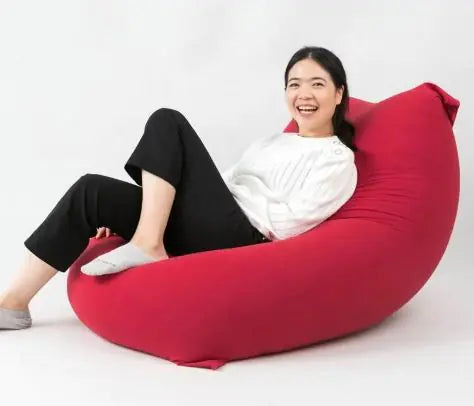 Sofa and Pillow